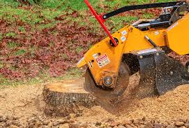  Untain Grove, MO Tree Care Pros