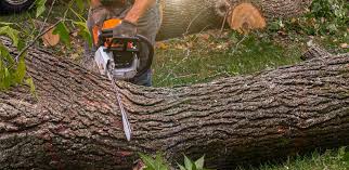 Best Artificial Turf Installation  in Untain Grove, MO